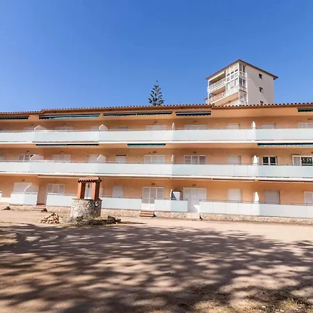 Les Algues Encantador En El Centro Girona